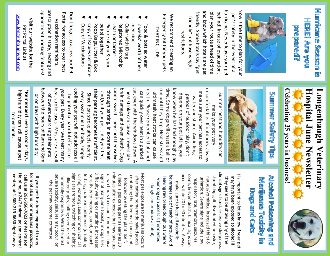 June Newsletter 2026 June Newsletter 2026