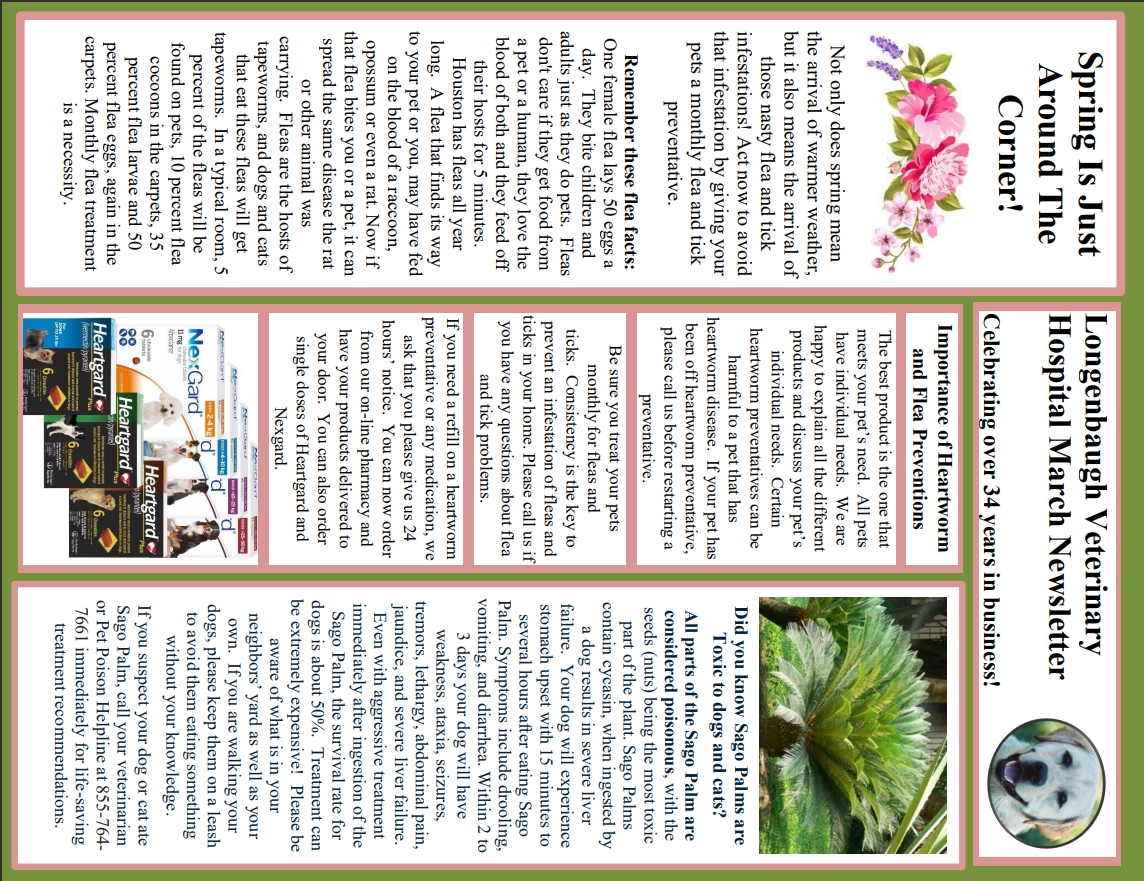 March 2026 March 2026