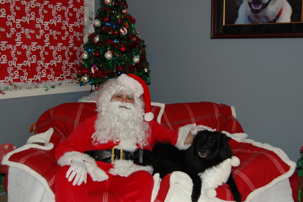 pet pictures with santa