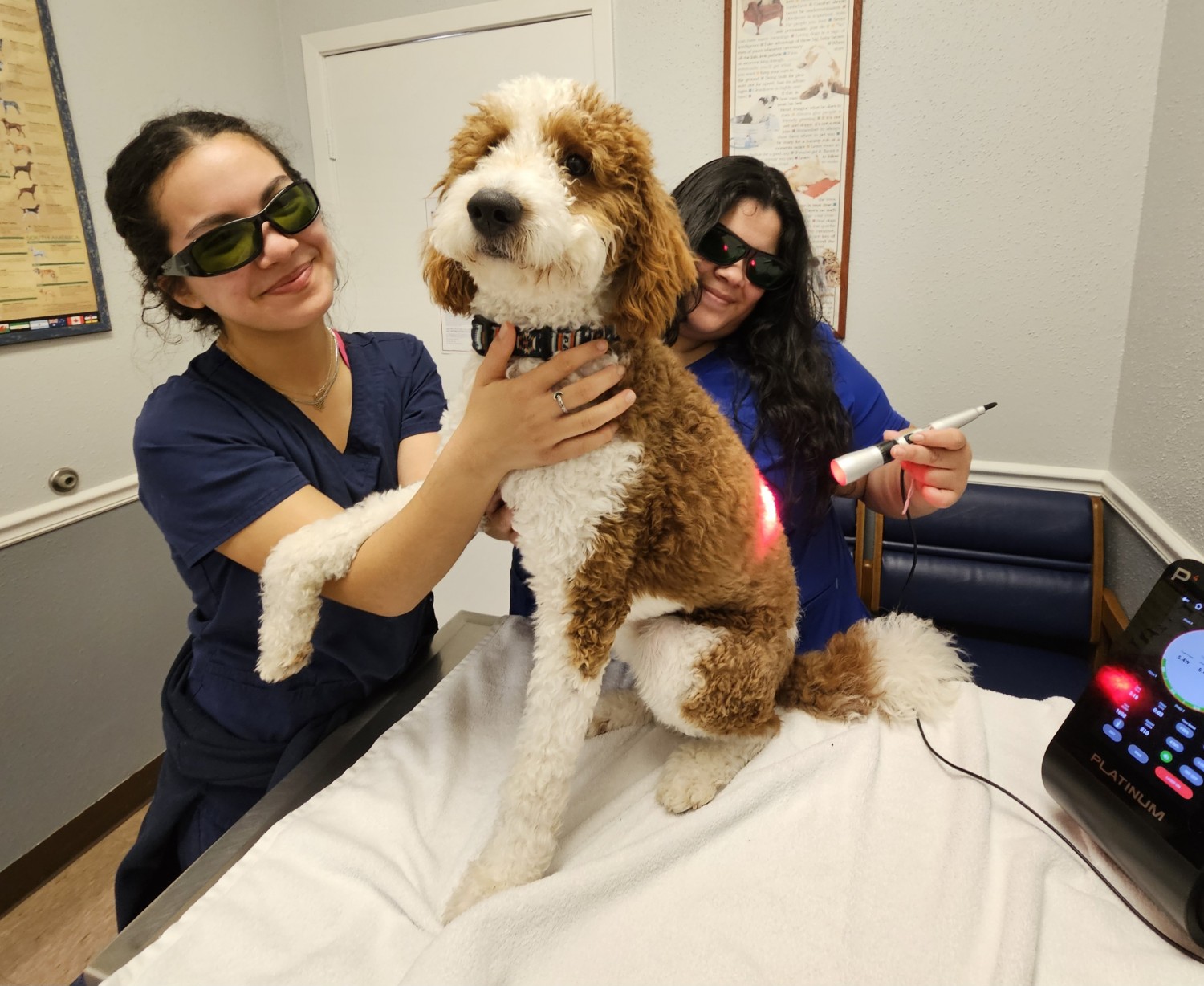 Laser Therapy Laser Therapy