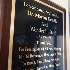 Plaque