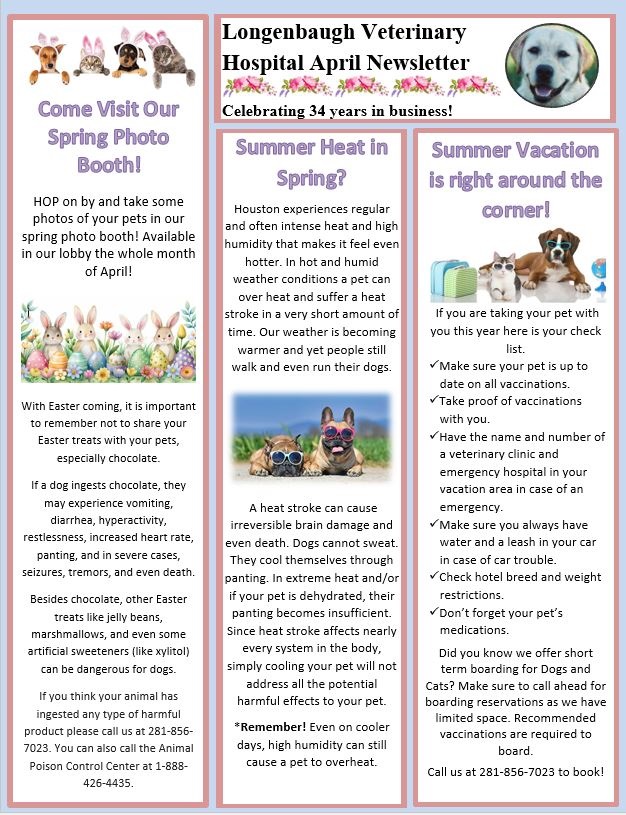 April Newsletter