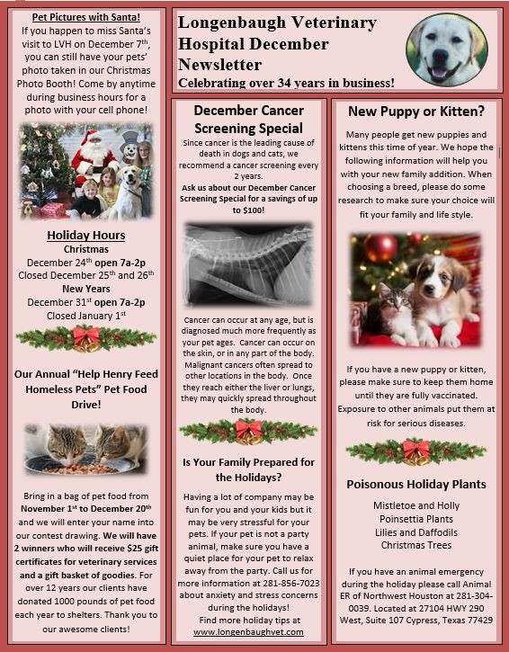 December Newsletter 2025