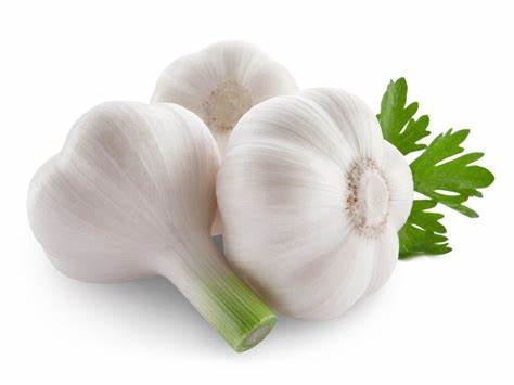 garlic garlic