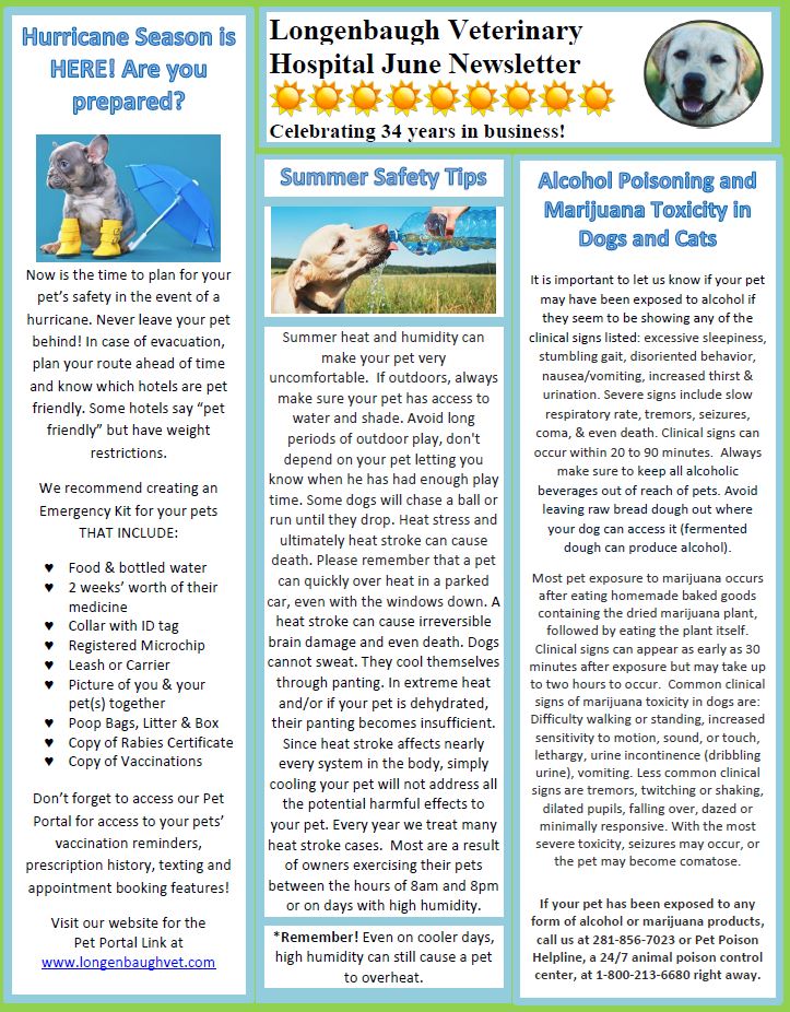 June Newsletter
