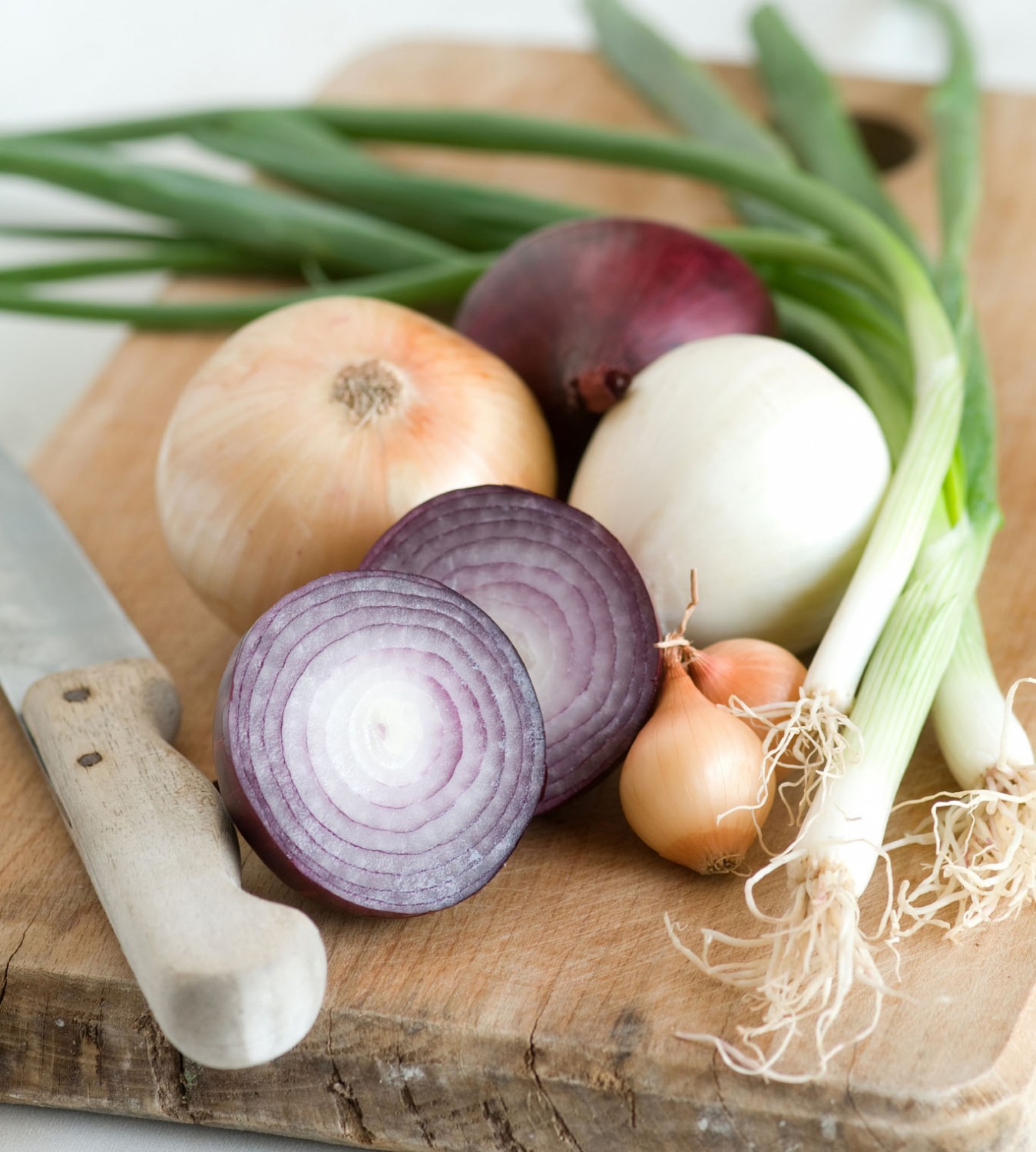 onion onion