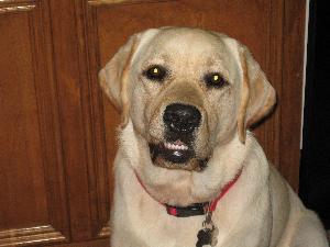 Henry Says "Big Smiles!" Henry Says "Big Smiles!"