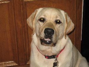  Henry Says "Big Smiles!"